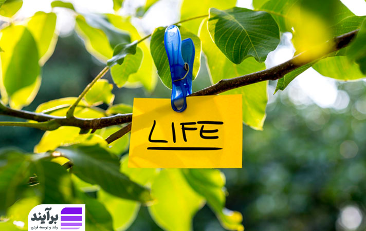 اهمیت پیدا کردن معنای زندگی 