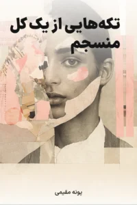 جلد کتاب تکه‌هایی از یک کل منسجم