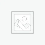 ابوالفضل محجوب